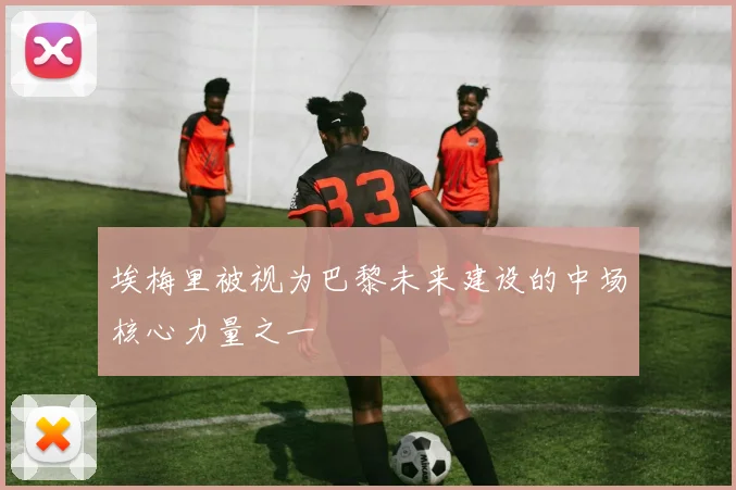 埃梅里被视为巴黎未来建设的中场核心力量之一