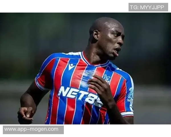 水晶宫上赛季双杀热刺历史交锋记录揭示球队实力差距